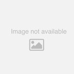 Apollo RPDA-4ALF-OSY-GPM 12" Reduced Pressure Detector Assembly