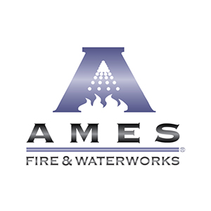 Ames 4000SS-OSY 2 1/2" Reduced Pressure Assembly