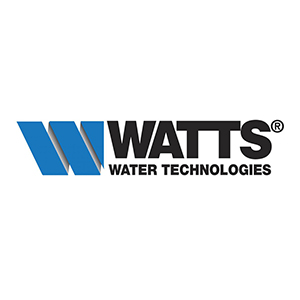 Watts 957Z-RPDA-BFG-CFM 2 1/2" Reduced Pressure Detector Assembly