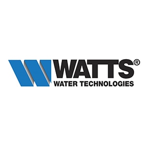 Watts 994RPDA-OSY-CFM 4" Reduced Pressure Zone Assembly